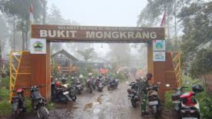Fakta Baru Hilangnya Pendaki Yazid di Bukit Mongkrang, Diduga Hendak Buka Jalur Baru