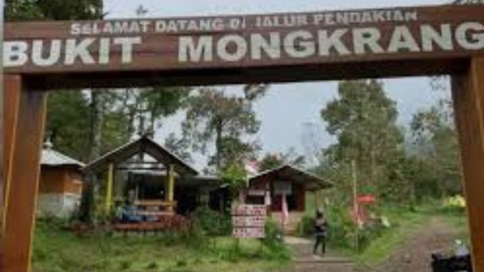 Imbas Pendaki Hilang di Mongkrang, Seluruh Jalur Pendakian Gunung Lawu Ditutup